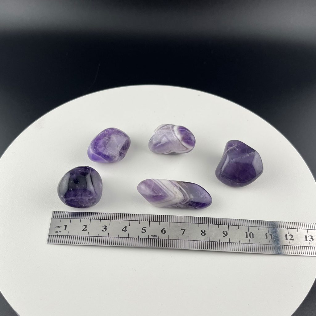 Lumina Vitae -