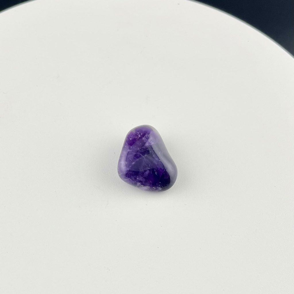 Lumina Vitae -