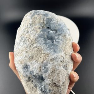 Célestine brute 2151g