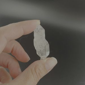 Lumina Vitae -