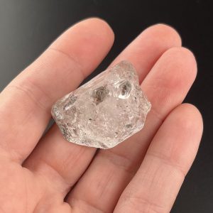 Lumina Vitae -