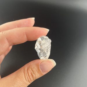 Lumina Vitae -
