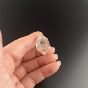 Lumina Vitae -