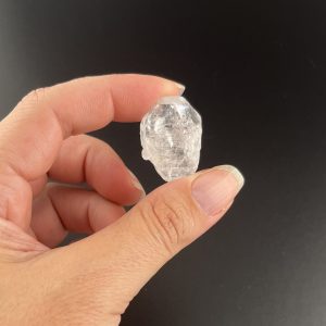 Lumina Vitae -