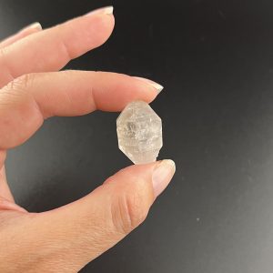Lumina Vitae -