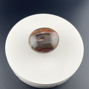 Galet de Bois fossil entre 130g et 140g