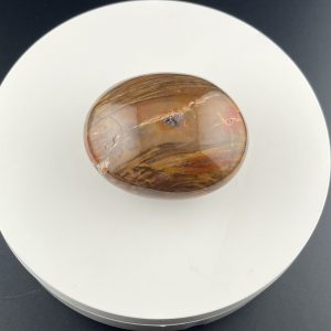 Galet de Bois fossil entre 171g et 180g