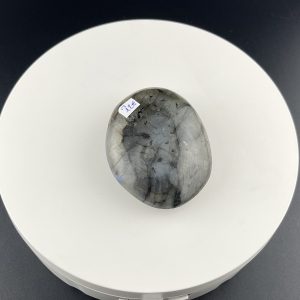 Lumina Vitae -