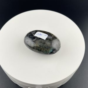 Lumina Vitae -