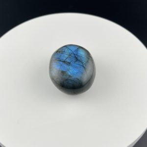 Lumina Vitae -