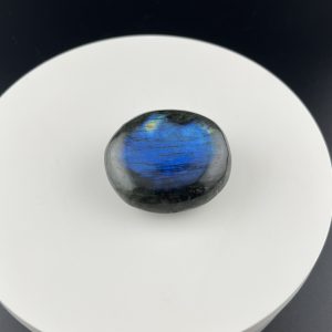 Lumina Vitae -
