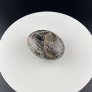 Lumina Vitae -