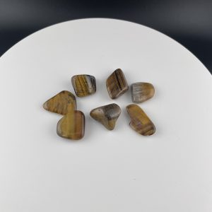 Lumina Vitae -